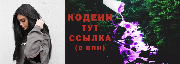 гидра Гусиноозёрск
