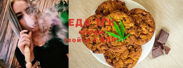 spice Дмитриев