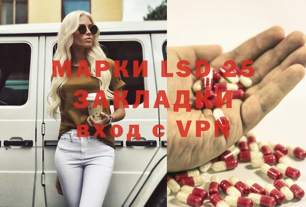 spice Дмитриев
