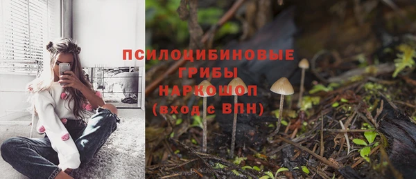 индика Тобольск