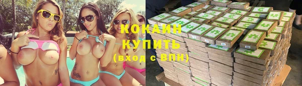 apvp Дмитров