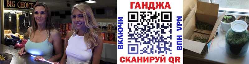 Бошки Шишки семена  Купить закладки  Высоцк 
